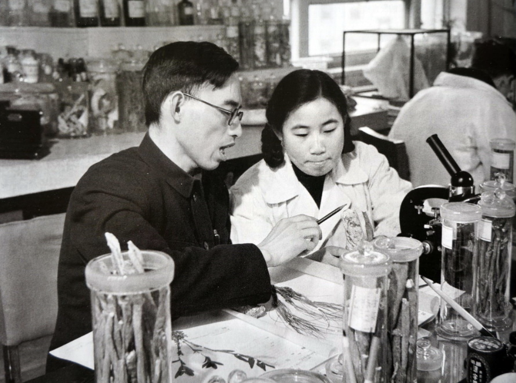 Tu Youyou and the Discovery of Artemisinin: How Traditional Chinese Medicine Changed the World