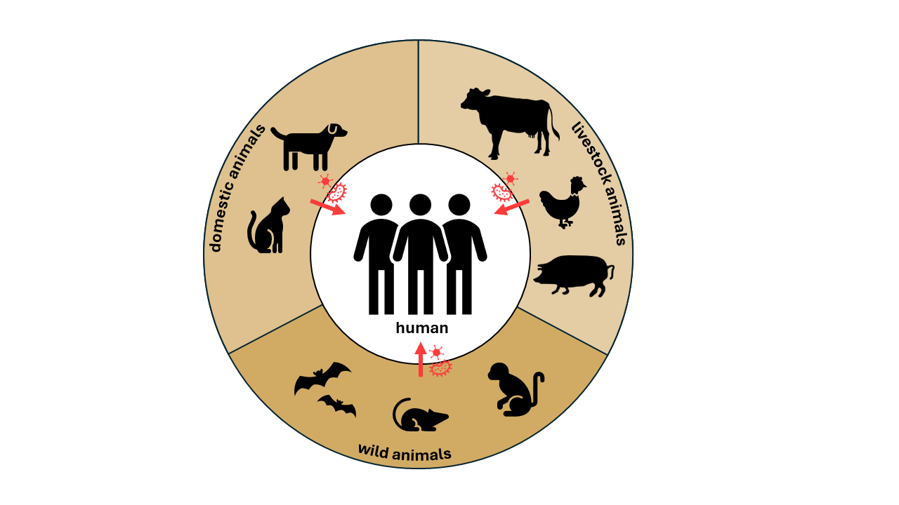 Mapping humanillness acrosstime through thelens of zoonosis