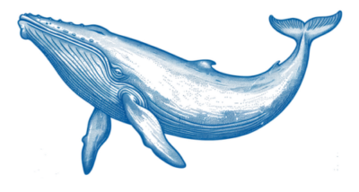 Peto’s Paradox: Why Don’t Whales Get Cancer?