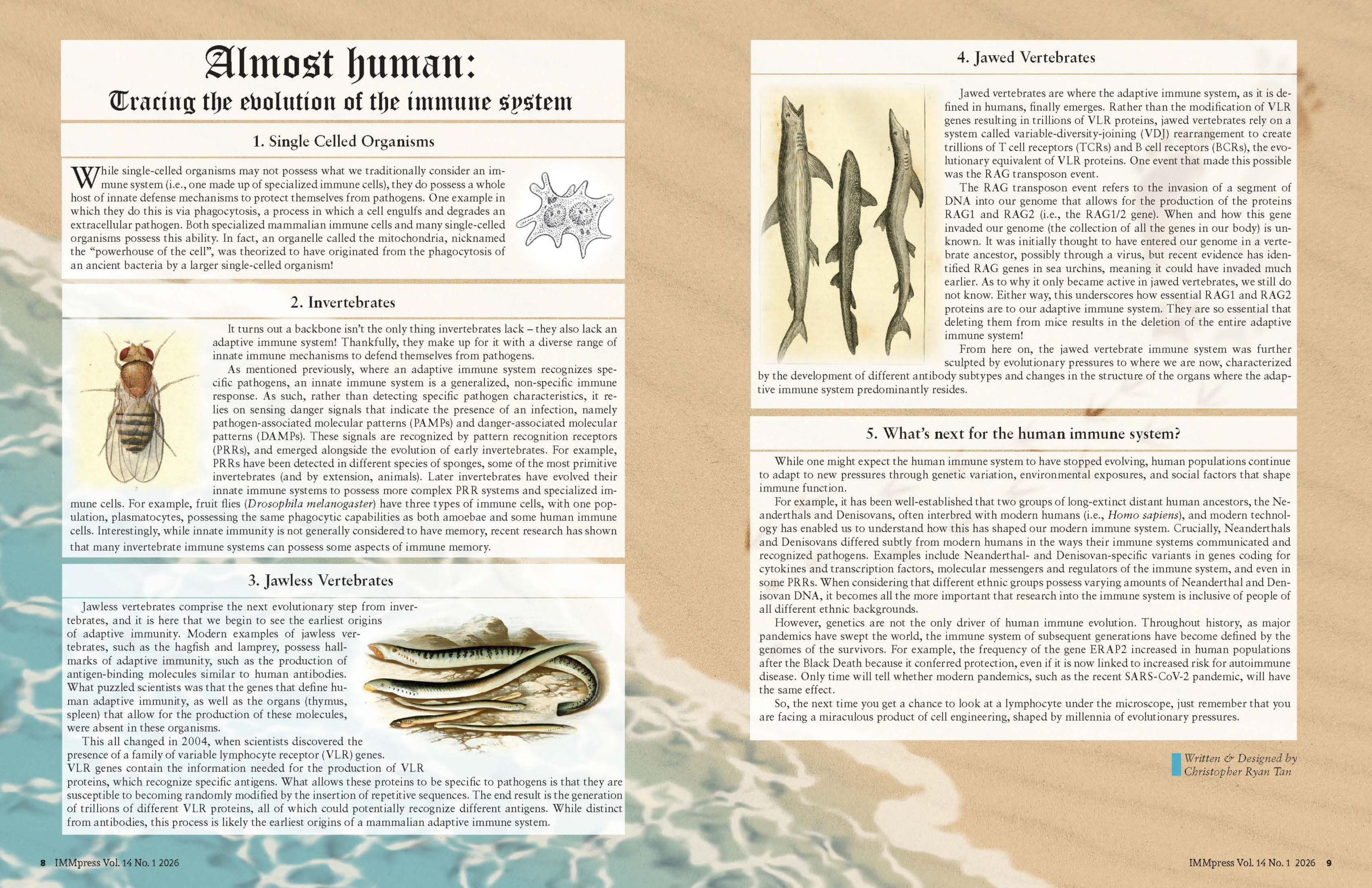 Almost human: Tracing the evolution of the immune system